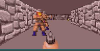 Wolfenstein 3D GBA Screenshot