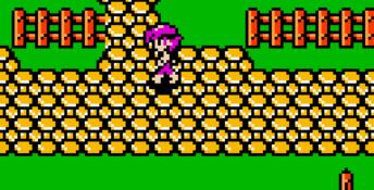 Crystalis GBC Screenshot