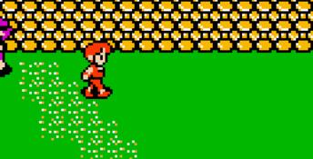 Crystalis GBC Screenshot