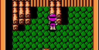 Crystalis GBC Screenshot