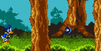 Donald Duck: Goin' Quackers GBC Screenshot