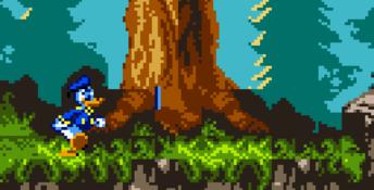 Donald Duck: Goin' Quackers GBC Screenshot