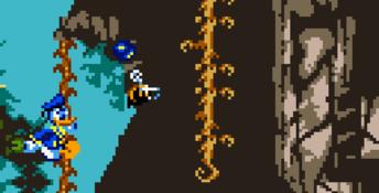 Donald Duck: Goin' Quackers GBC Screenshot
