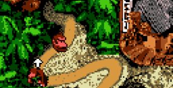 Donkey Kong Country GBC Screenshot