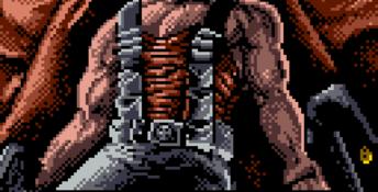 Duke Nukem GBC Screenshot