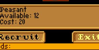 Heroes of Might and Magic GBC Screenshot