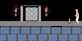 Prince Of Persia GBC Screenshot