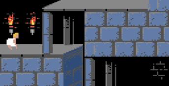 Prince Of Persia GBC Screenshot