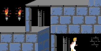 Prince Of Persia GBC Screenshot