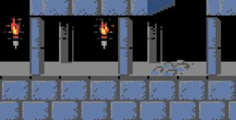 Prince Of Persia GBC Screenshot