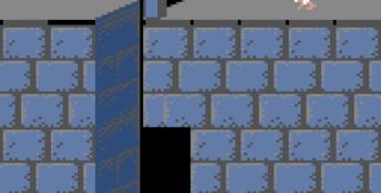 Prince Of Persia GBC Screenshot
