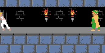 Prince Of Persia GBC Screenshot