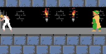 Prince Of Persia GBC Screenshot