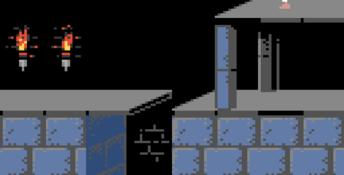 Prince Of Persia GBC Screenshot