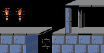 Prince Of Persia GBC Screenshot