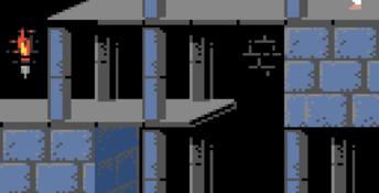 Prince Of Persia GBC Screenshot