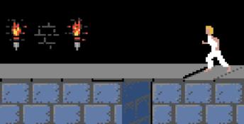 Prince Of Persia GBC Screenshot