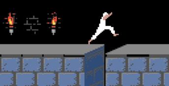 Prince Of Persia GBC Screenshot