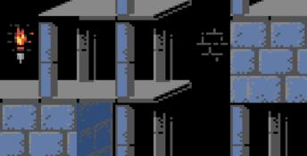 Prince Of Persia GBC Screenshot