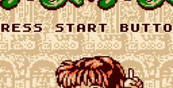 Puyo Puyo GBC Screenshot
