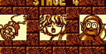 Puyo Puyo GBC Screenshot