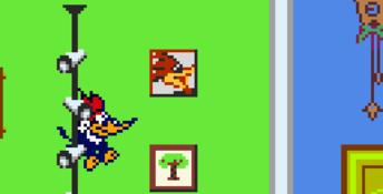 Woody Woodpecker