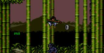 3 Ninjas Kick Back Genesis Screenshot