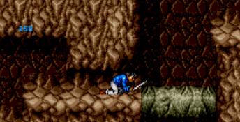 3 Ninjas Kick Back Genesis Screenshot