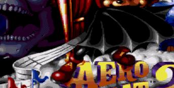 Aero the Acrobat 2 Splash Screen