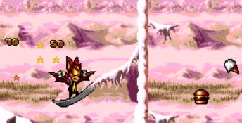 Aero the Acro-Bat 2