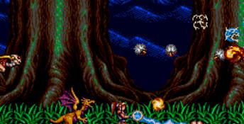 Alisia Dragoon Genesis Screenshot