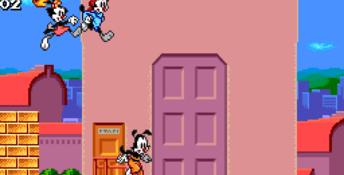Animaniacs