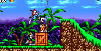 Animaniacs Genesis Screenshot