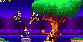 Animaniacs Genesis Screenshot