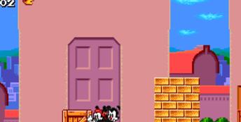 Animaniacs Genesis Screenshot