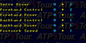 ATP Tour Championship Tennis