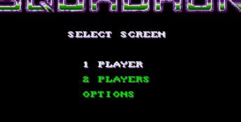 Battle Squadron Genesis Screenshot