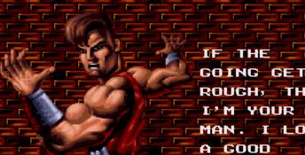 Battletoads and Double Dragon