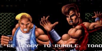 Battletoads and Double Dragon