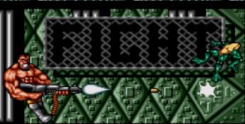 Battletoads and Double Dragon