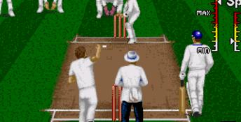Brian Lara Cricket 96 Genesis Screenshot
