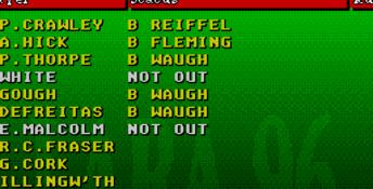 Brian Lara Cricket 96 Genesis Screenshot