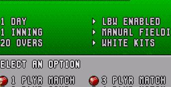 Brian Lara Cricket 96 Genesis Screenshot