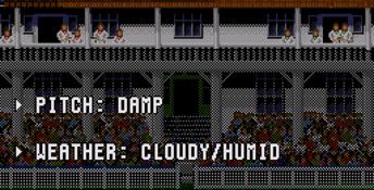Brian Lara Cricket 96 Genesis Screenshot