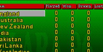Brian Lara Cricket 96 Genesis Screenshot