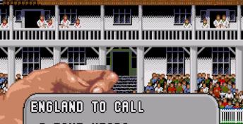 Brian Lara Cricket 96 Genesis Screenshot