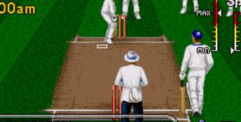 Brian Lara Cricket 96 Genesis Screenshot