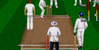 Brian Lara Cricket 96 Genesis Screenshot