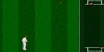 Brian Lara Cricket 96 Genesis Screenshot