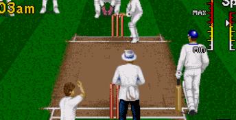Brian Lara Cricket 96 Genesis Screenshot